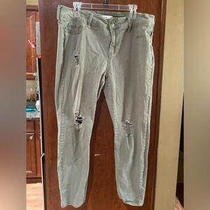 Cello Olive Straight Leg Jeans